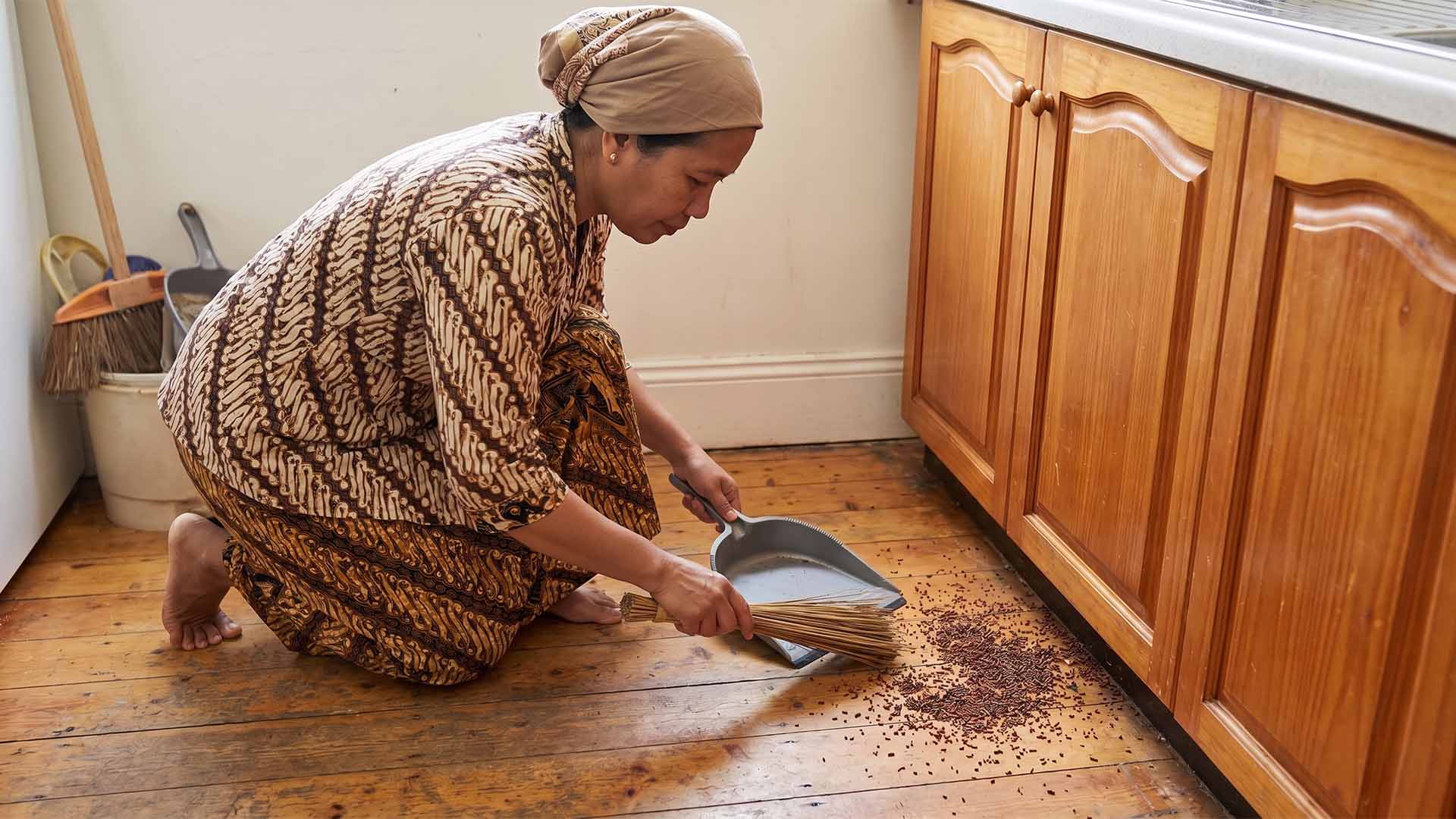 Penyebab Rayap di Rumah & Cara Tepat Mengatasinya