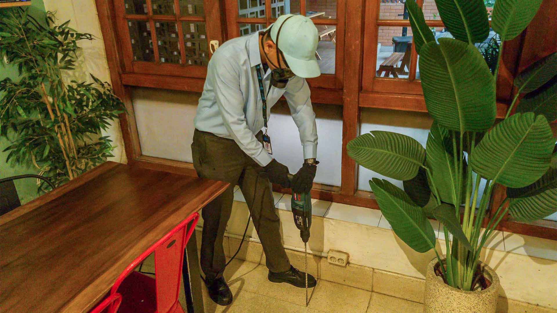 Perbedaan Anti Rayap Pra Konstruksi dan Pasca Kons