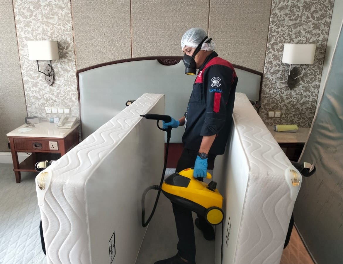 pengendalian-kutu-kasur