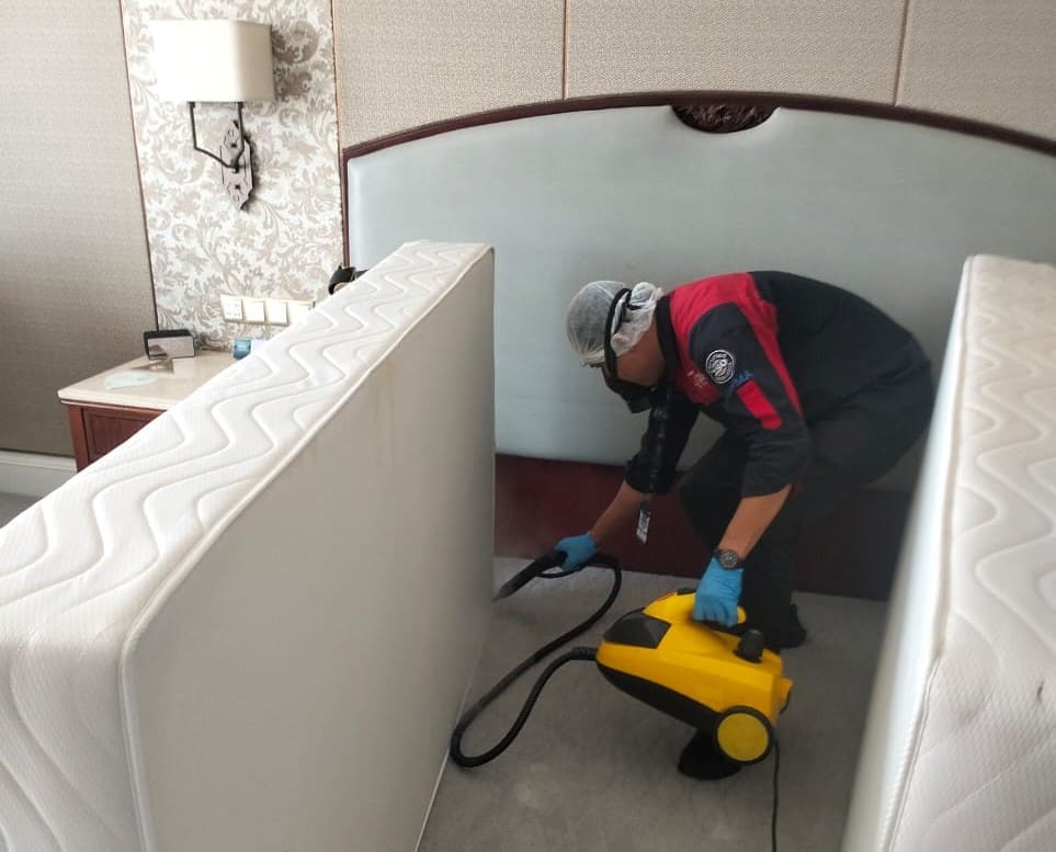 pengendalian kutu kasur